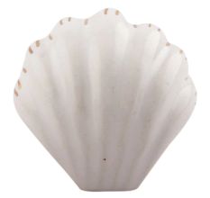 White Sea Shell Ceramic Drawer Knob